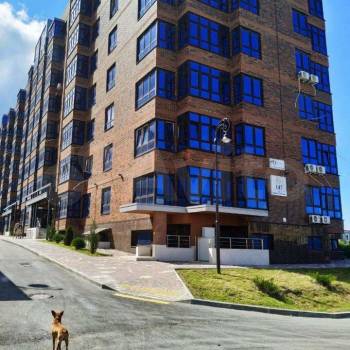 Сдается 2-х комнатная квартира, 52 м²