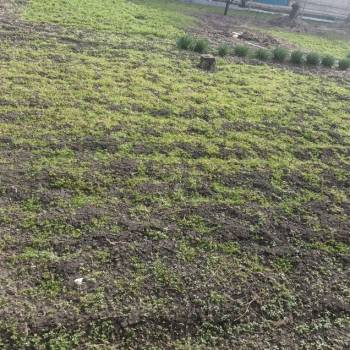 Продается Участок, 350 м²