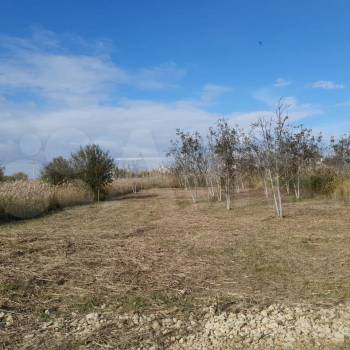 Продается Участок, 670 м²