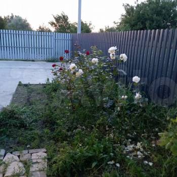 Сдается Дом, 45 м²