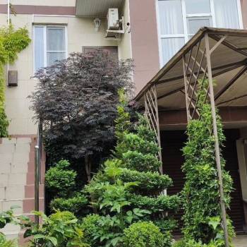 Продается Дом, 204 м²