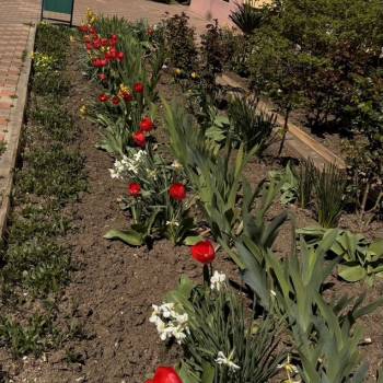 Сдается 1-комнатная квартира, 34,9 м²