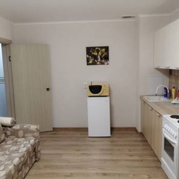 Сдается 1-комнатная квартира, 26,7 м²
