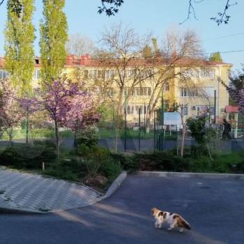 Сдается 1-комнатная квартира, 32,2 м²