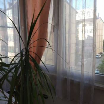 Продается 1-комнатная квартира, 45 м²