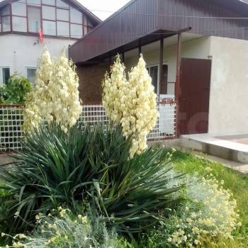 Сдается Дом, 80 м²