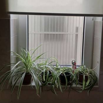 Сдается Дом, 42 м²