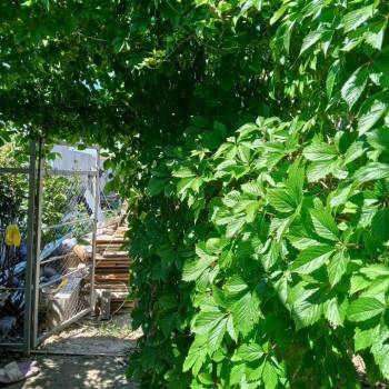 Продается Участок, 700 м²