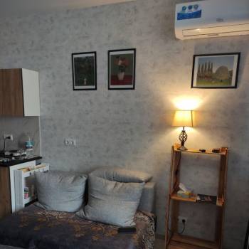 Сдается 1-комнатная квартира, 26,2 м²
