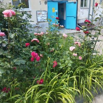 Продается 1-комнатная квартира, 29,2 м²