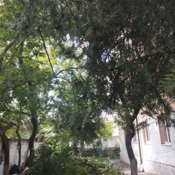 Продается 1-комнатная квартира, 29,2 м²