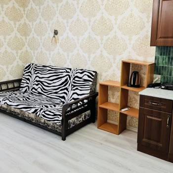 Сдается 1-комнатная квартира, 25,5 м²