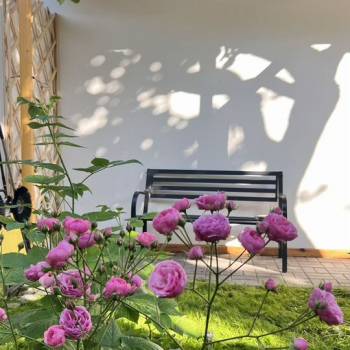 Сдается 1-комнатная квартира, 15 м²