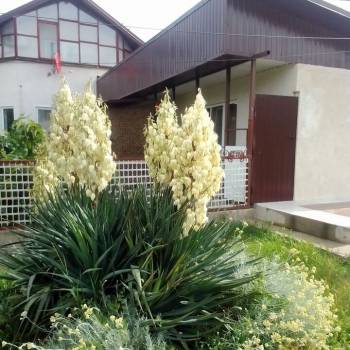 Сдается Дом, 80 м²