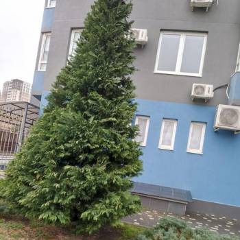 Сдается 1-комнатная квартира, 56,6 м²
