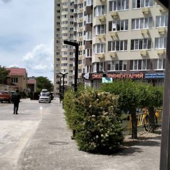 Сдается 1-комнатная квартира, 23,5 м²