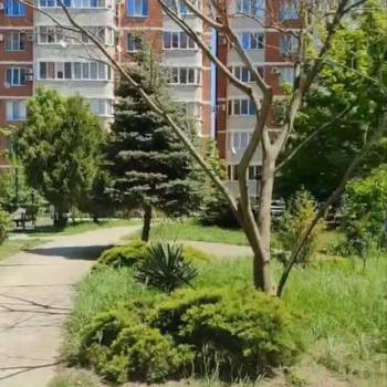 Сдается 1-комнатная квартира, 44,4 м²