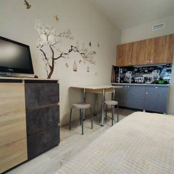 Сдается 1-комнатная квартира, 25 м²
