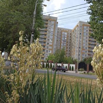 Сдается 1-комнатная квартира, 45 м²