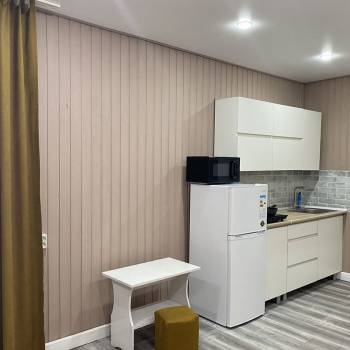 Продается 1-комнатная квартира, 22,5 м²