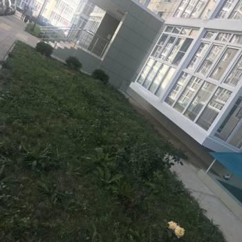 Сдается 1-комнатная квартира, 37 м²