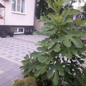 Сдается Комната, 20 м²