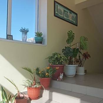 Сдается Комната, 0 м²