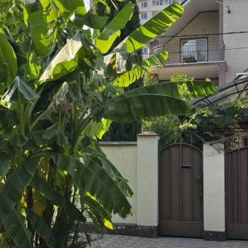 Сдается Многокомнатная квартира, 80 м²