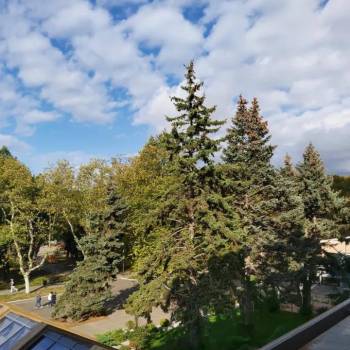 Сдается 1-комнатная квартира, 32,4 м²