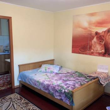 Сдается 1-комнатная квартира, 30 м²