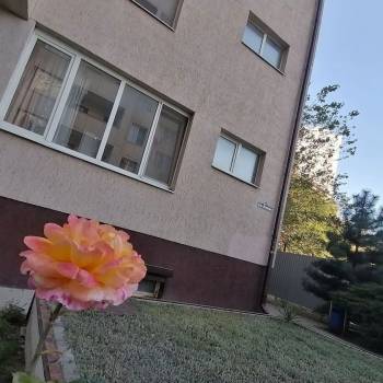 Сдается 1-комнатная квартира, 28 м²