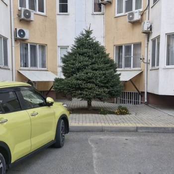 Сдается 1-комнатная квартира, 59,5 м²
