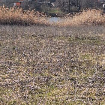 Продается Участок, 1108 м²