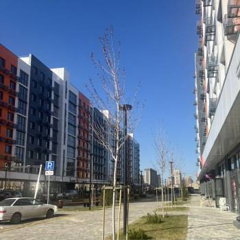 Продается Нежилое помещение, 50 м²