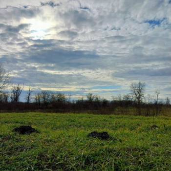 Продается Участок, 450 м²