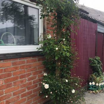 Сдается Дом, 43 м²