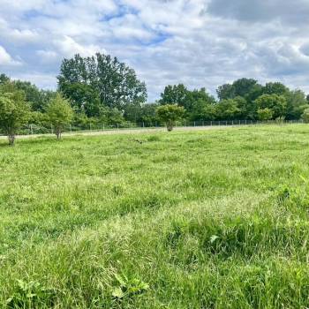 Продается Участок, 800 м²