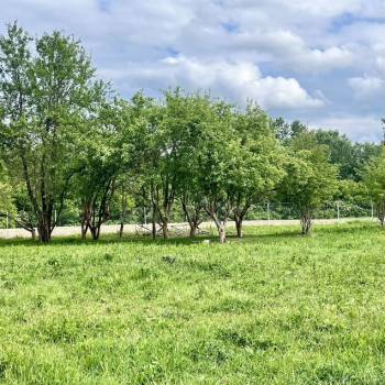 Продается Участок, 800 м²