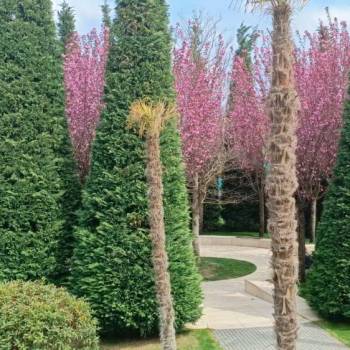 Сдается 1-комнатная квартира, 41 м²