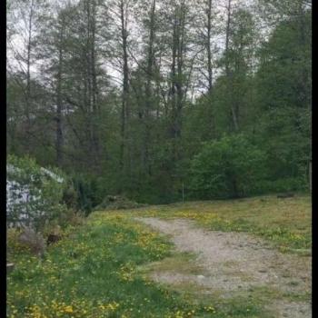 Сдается Посуточно, 100 м²