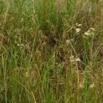 Продается Участок, 800 м²