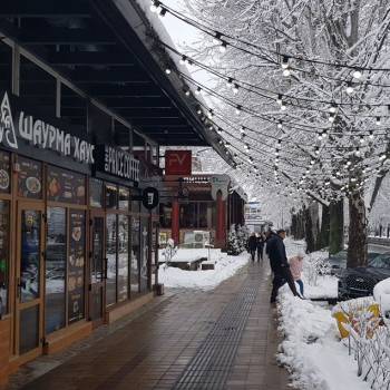 Продается Нежилое помещение, 270 м²