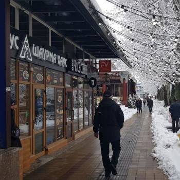 Продается Нежилое помещение, 270 м²