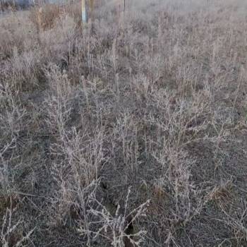 Продается Участок, 1000 м²