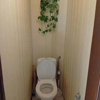 Сдается 2-х комнатная квартира, 42 м²