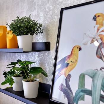 Сдается 1-комнатная квартира, 23 м²