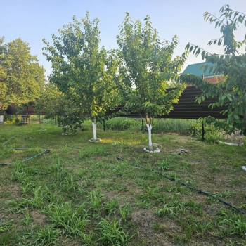 Продается Участок, 350 м²