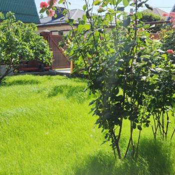 Сдается Дом, 110 м²