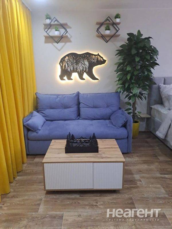 Фотография №3