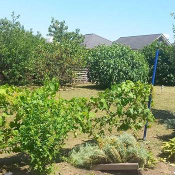 Продается Дом, 214 м²